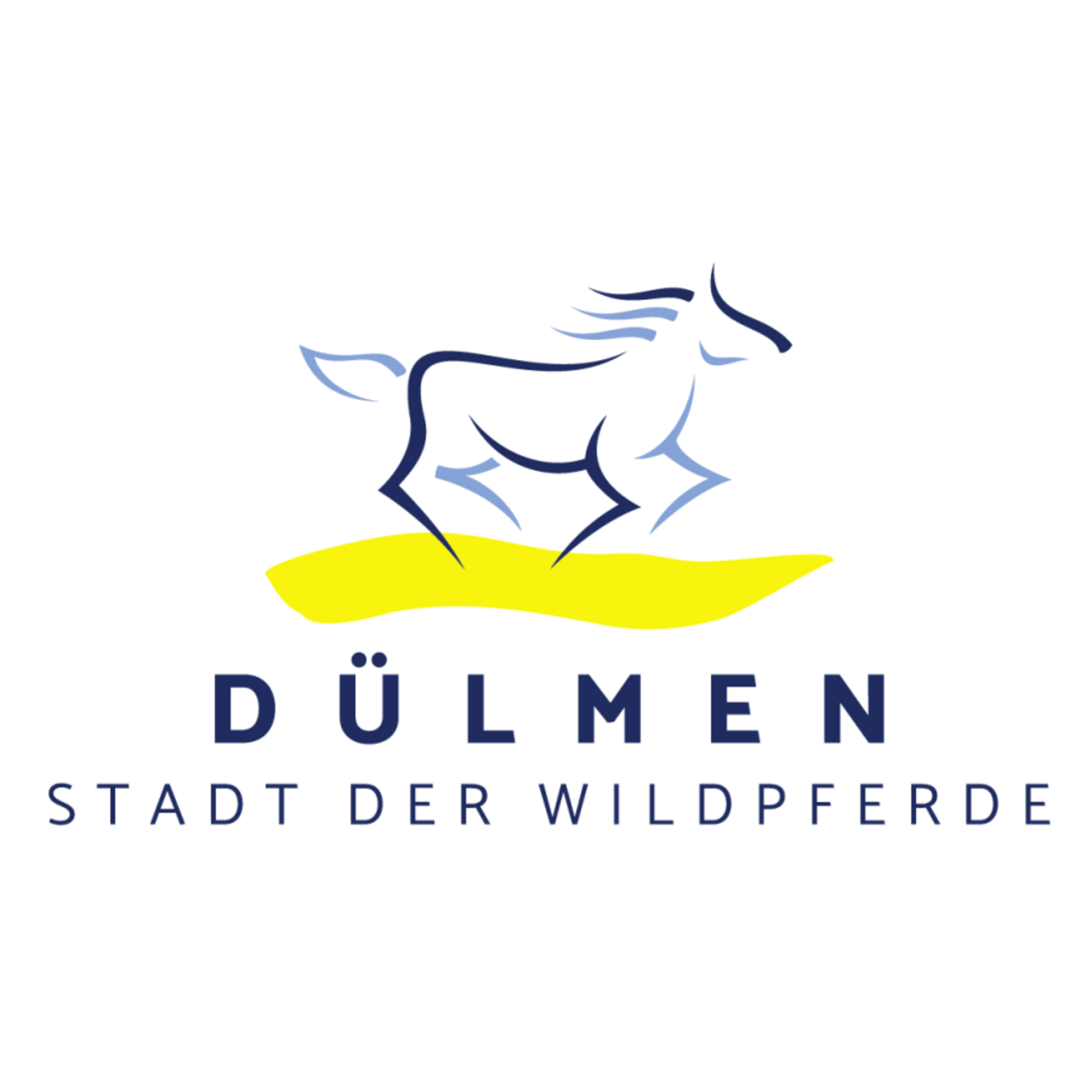 Link zur Webseite der Stadt Dülmen