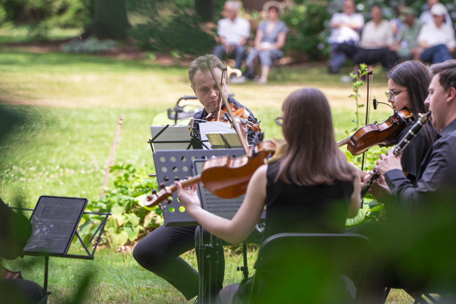 Vier Musiker sitzen in einem Garten und spielen auf Streichinstrumenten. Im Hintergrund sieht man etwas Publikum.