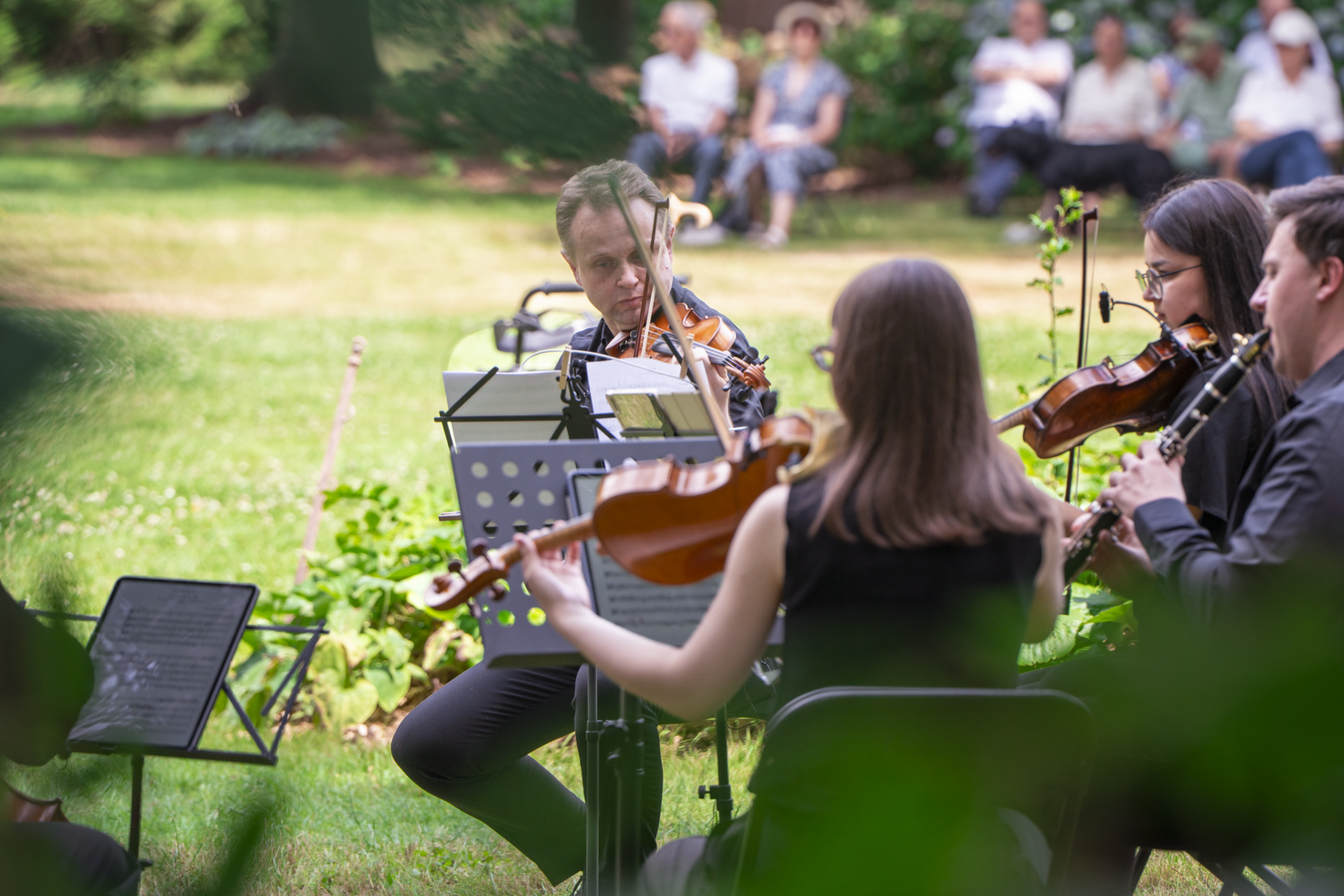 Vier Musiker sitzen in einem Garten und spielen auf Streichinstrumenten. Im Hintergrund sieht man etwas Publikum.