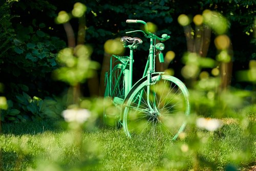 Eine grünes Fahrrad steht auf einer grünen Wiese.
