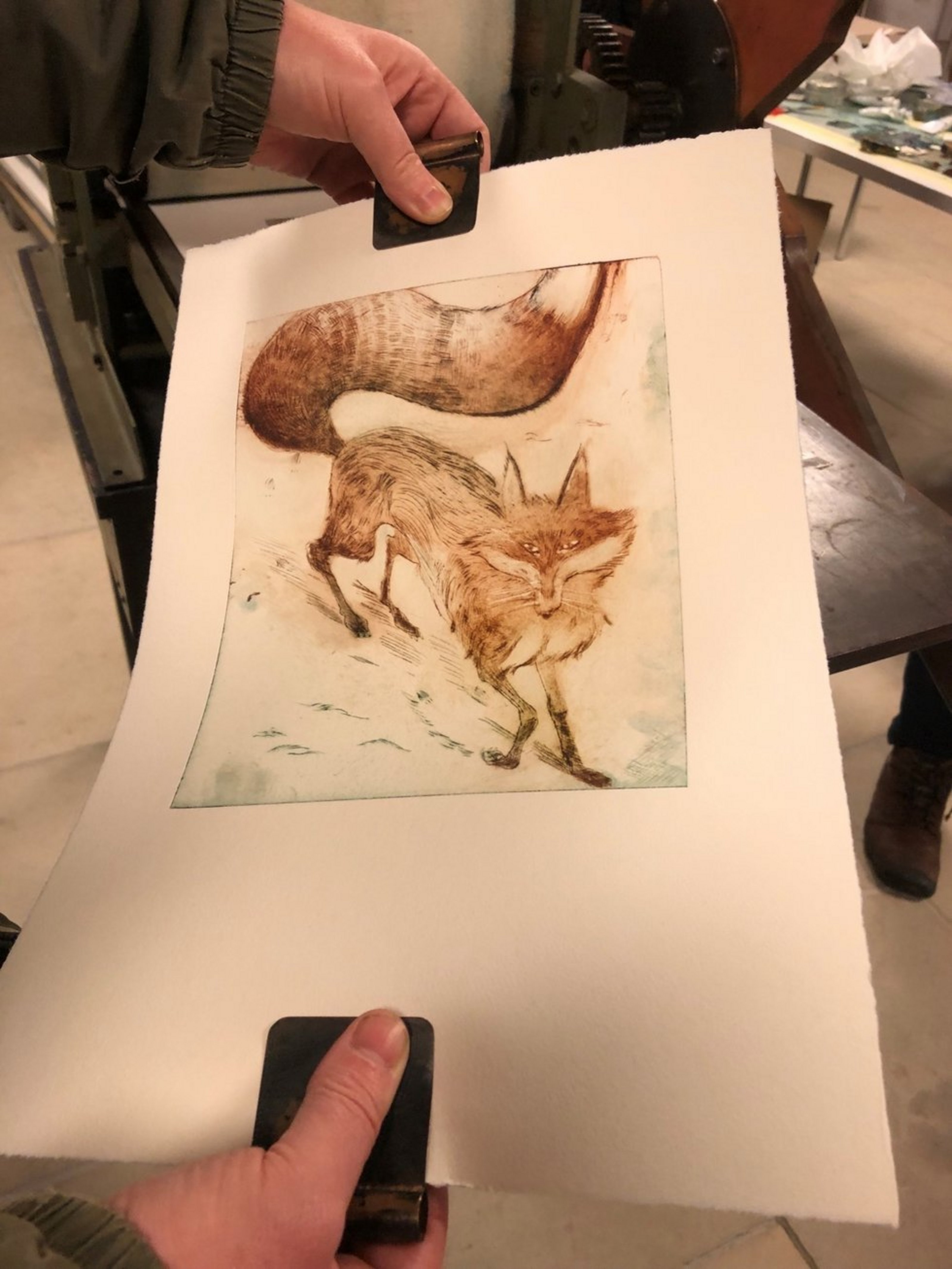 Gedruckte Radierung eines Fuchses wird nach einem Workshop präsentiert.