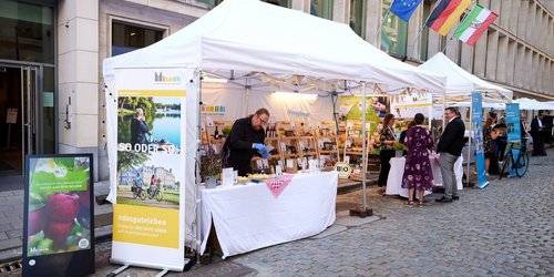 Mehrere Pavillons mit Infoständen und Produkten auf einer Veranstaltung im öffentlichen Raum.