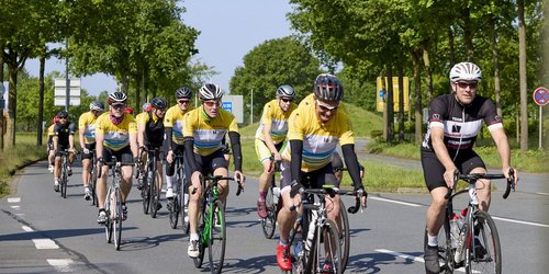 Eine Gruppe von Rennradfahrerinnen und Rennradfahrern fährt bei sonnigem Wetter auf einer breiten Straße durch eine grüne Allee. Viele tragen gelbe Trikots und Helme.