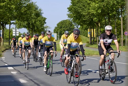 Eine Gruppe von Rennradfahrerinnen und Rennradfahrern fährt bei sonnigem Wetter auf einer breiten Straße durch eine grüne Allee. Viele tragen gelbe Trikots und Helme.