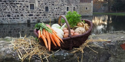 Regionale Köstlichkeiten auf Burg Vischering (Archivbild: Kreis Coesfeld, Julia Kleine-Bley) Auf einer Steinmauer steht ein Korb mit Gemüse. Der Korb steht auf Stroh. Im Hintergrund ist ein Wassergraben und ein Gemäuer zu sehen.