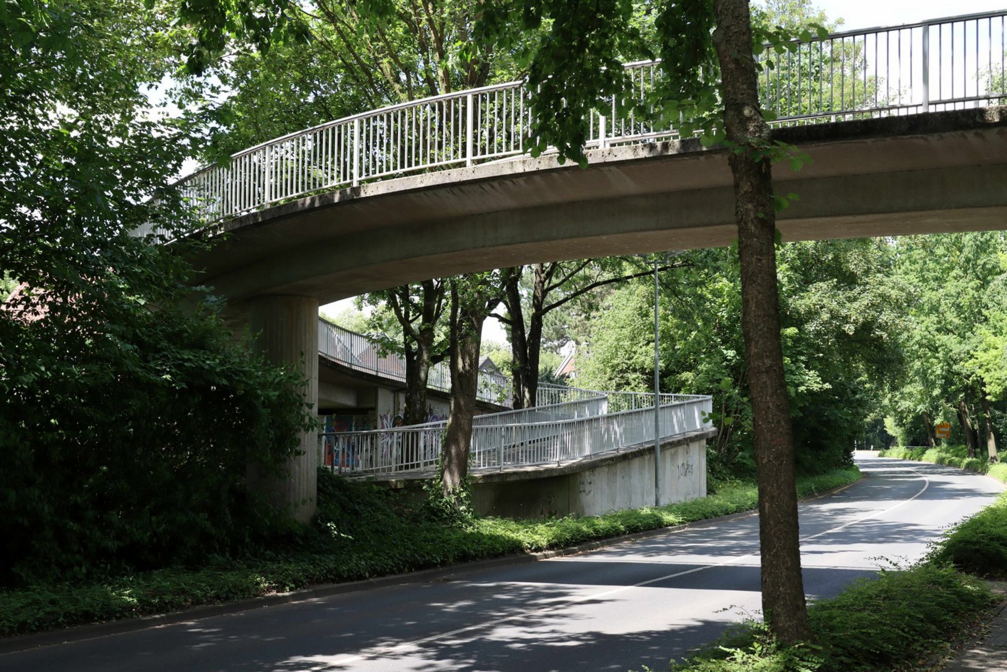 Man sieht eine Brücke zwischen Bäumen.