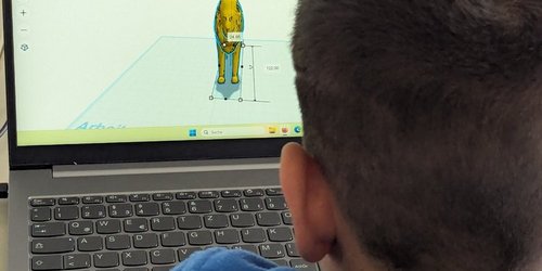 Ein Kind mit kurzen Haaren sitzt vor einem Laptop, auf dem ein Tier zu sehen ist. Das Kind ist von hinten zu sehen.