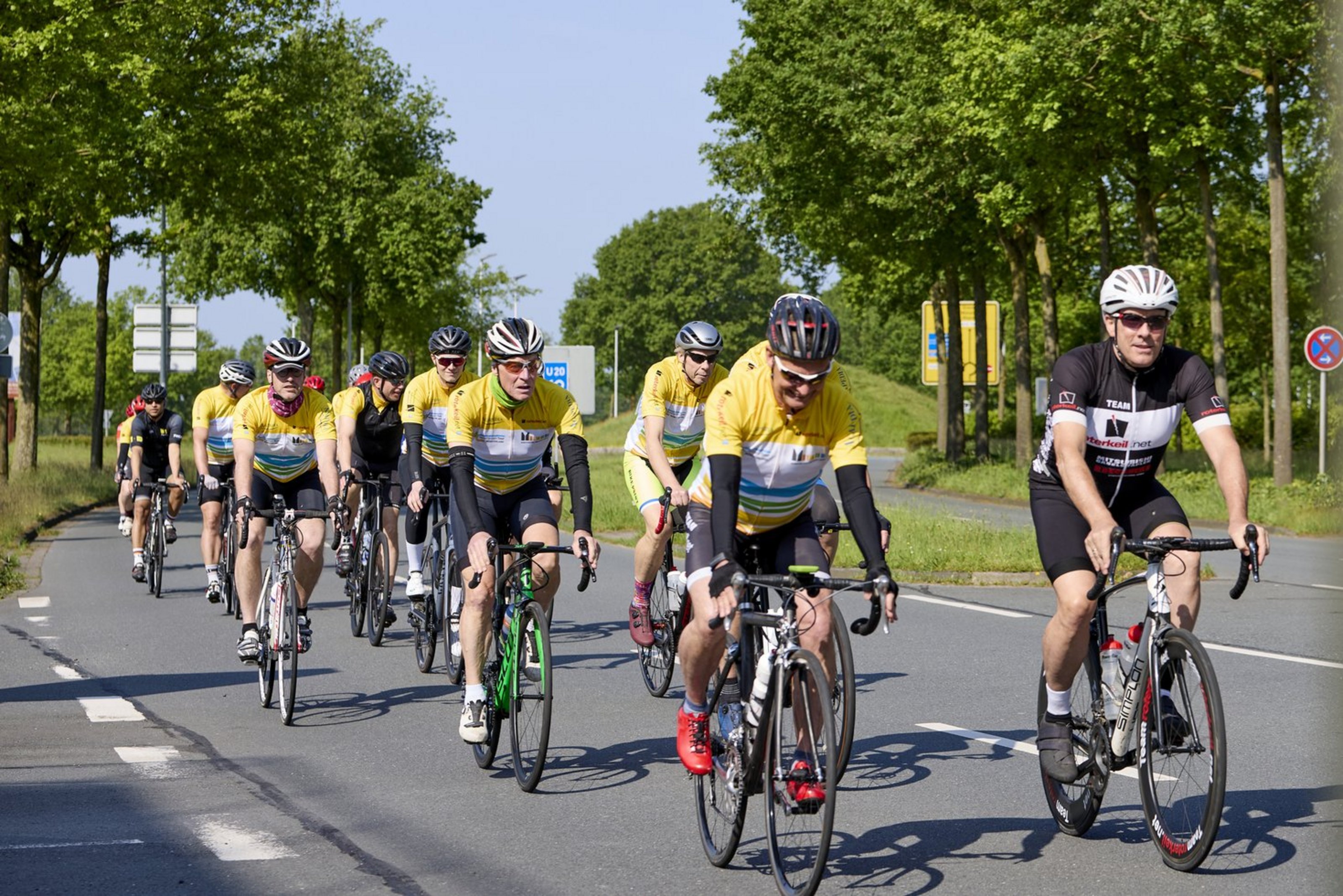 Unterwegs für den guten Zweck: Das ist die Rennfietsen-Tour Münsterland (Foto: Münsterland e.V./Philipp Fölting). Eine Gruppe Rennradfahrer fährt über eine Straße, an deren Rändern mehrere Bäume wachsen.