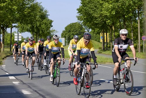 Eine Gruppe Rennradfahrer fährt über eine Straße, an deren Rändern mehrere Bäume wachsen.