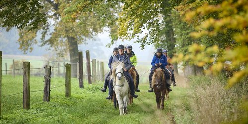 Eine Gruppe von Reitern reitet über einen Weg zwischen einer Weide auf der linken und einem Wald auf der rechten Seite.