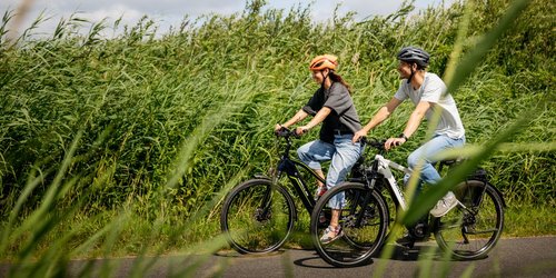 Zwei Personen fahren mit Fahrrädern auf einem Radweg durch eine grüne Landschaft im Münsterland.