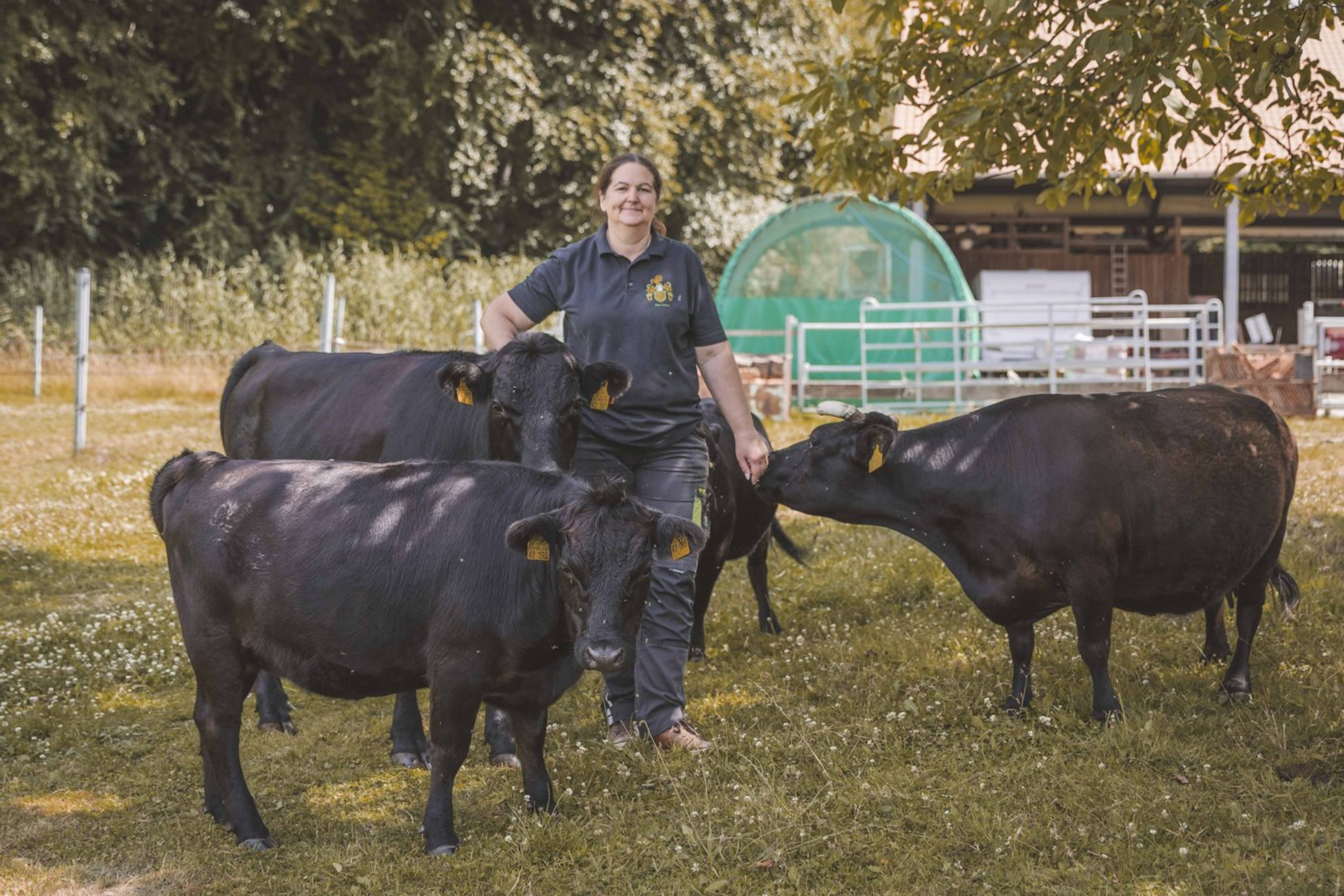 Eine Frau steht auf einer Wiese umgeben von vier Rindern. Eines schnuppert an ihrer Hand, die andere Hand hat sie auf die Kuh rechts von sich gelegt.