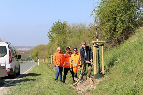 Vier Männer stehen am Rand einer Landstraße neben frisch gepflanzten, jungen Bäumen, die jeweils durch Holzpfosten geschützt sind. Zwei der Männer tragen orange Arbeitskleidung mit Reflektoren, einer trägt eine orange Jacke und Jeans, der vierte trägt dunkle Kleidung und gießt mit einem grünen Schlauch einen der jungen Bäume. Links am Bildrand steht ein weißes Fahrzeug. Im Hintergrund verläuft die Straße durch eine grüne, leicht hügelige Landschaft mit Bäumen und blauem Himmel.