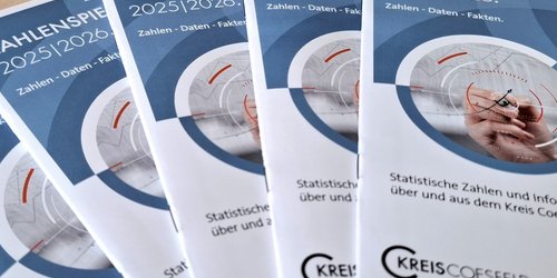 Fünf Flyer in blau-weißem Design liegen nebeneinander aus. Sie tragen den Titel "Zahlenspiegel".