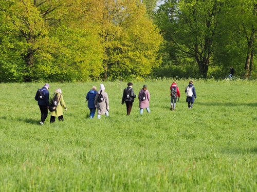 Eine Gruppe von Personen läuft durch das hohe Gras einer Wiese. 