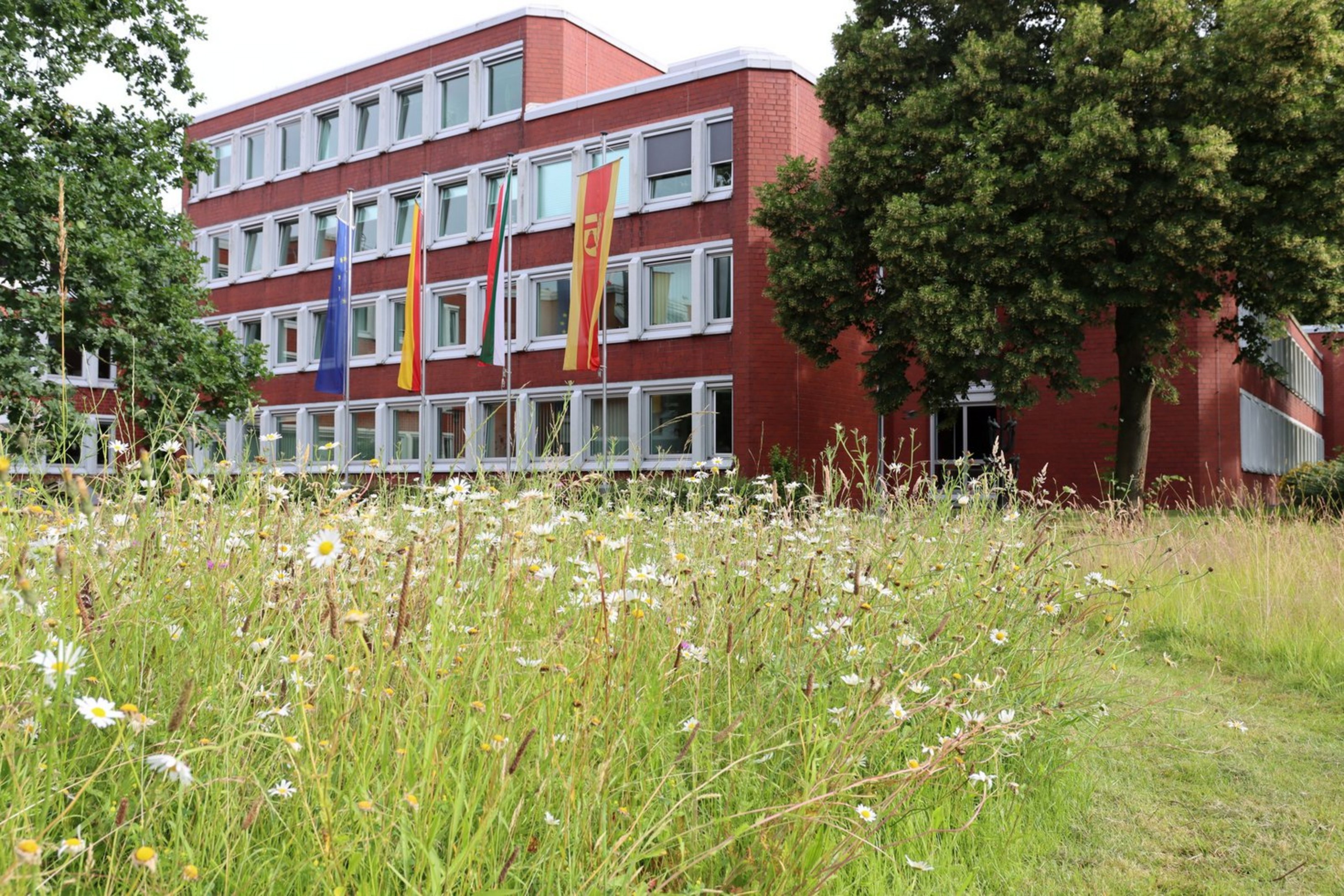 Vor einem dreistöckigem, roten Gebäude sind die Fahnen Europas, der Bundesrepublik Deutschland, Nordrhein-WEstfalens und des Kreises Coesfeld gehisst. Im Vordergrund befindet sich eine Blumenwiese.