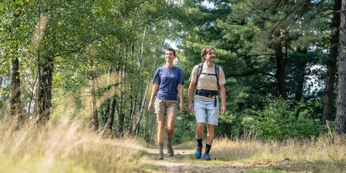 Ein Mann mit Rucksack und eine Frau wandern durch einen Wald. Sie tragen kurze Hosen und T-Shirts und schauen erfreut.