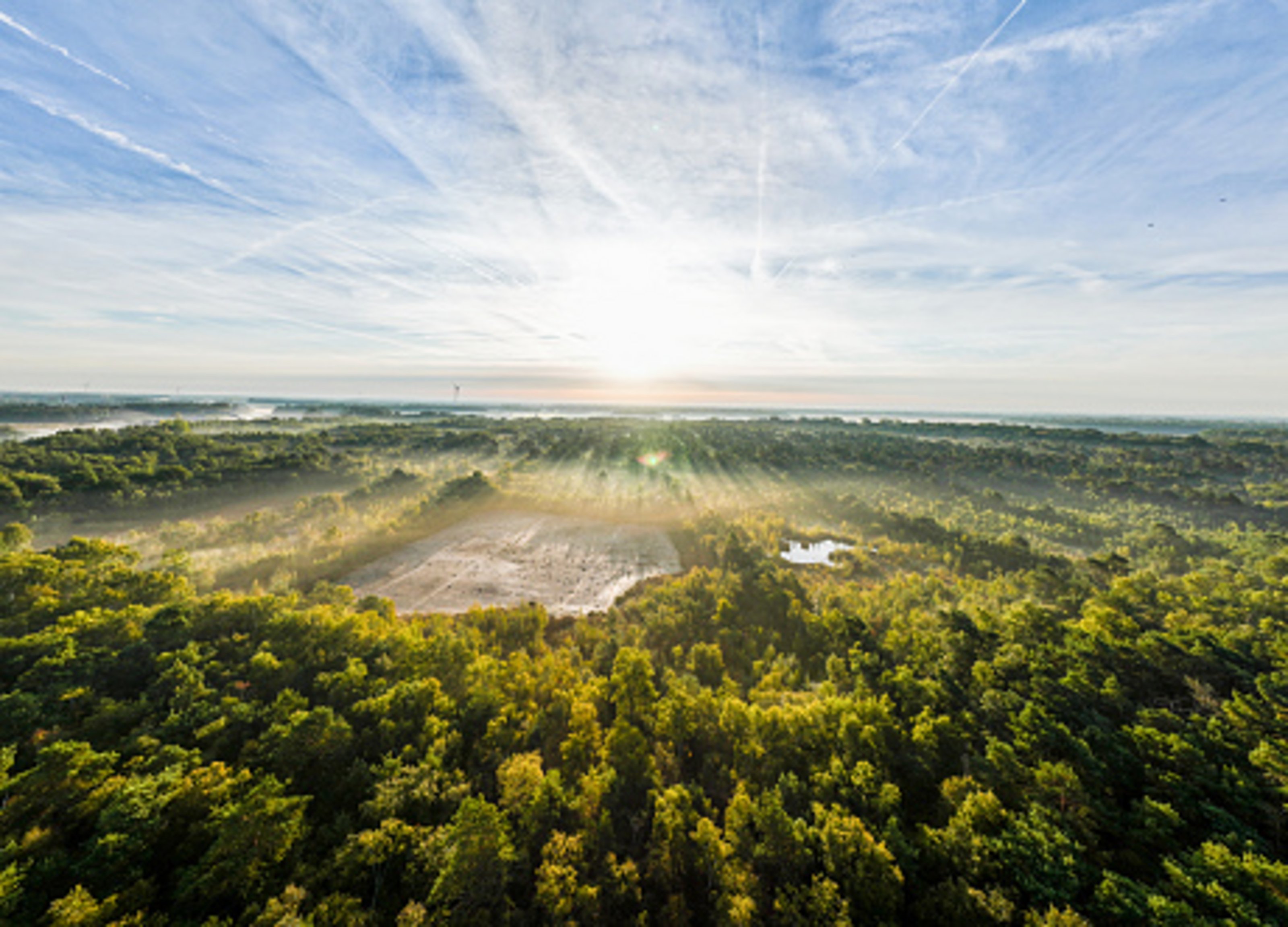 Link zum Hitzeportal