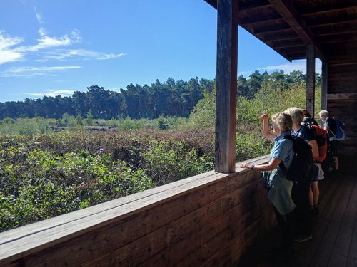 Einige Erwachsene in Wanderbekleidung schauen von einem Aussichtsturm auf ein Waldstück.