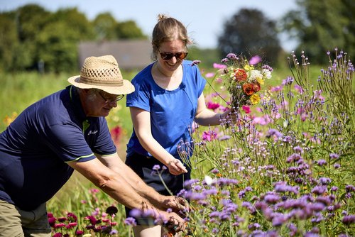 Ein Mann und eine Frau pflücken Blumen von einer Wiese. Die Frau hält einen Blumenstrauß in der Hand.