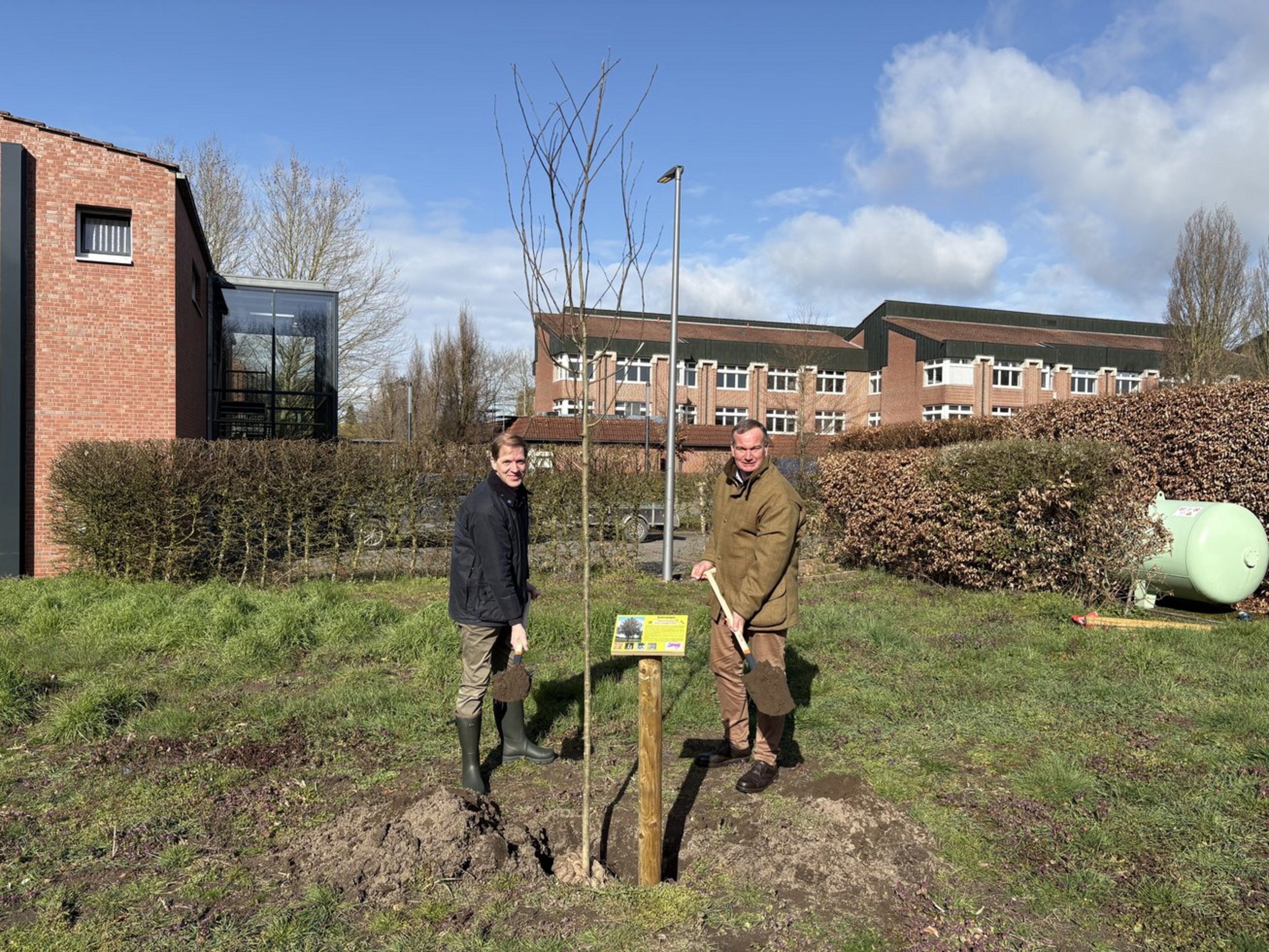 Zwei Männer halten einen Spaten mit Erde in der Hand und stehen neben einem jungen Baum.