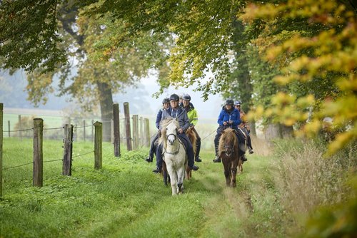 Eine Gruppe von Reitern reitet über einen Weg zwischen einer Weide auf der linken und einem Wald auf der rechten Seite.