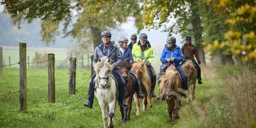 Einige Menschen reiten auf Pferden auf einem Grasweg. Neben ihnen sieht man einen Zaun und Bäume.