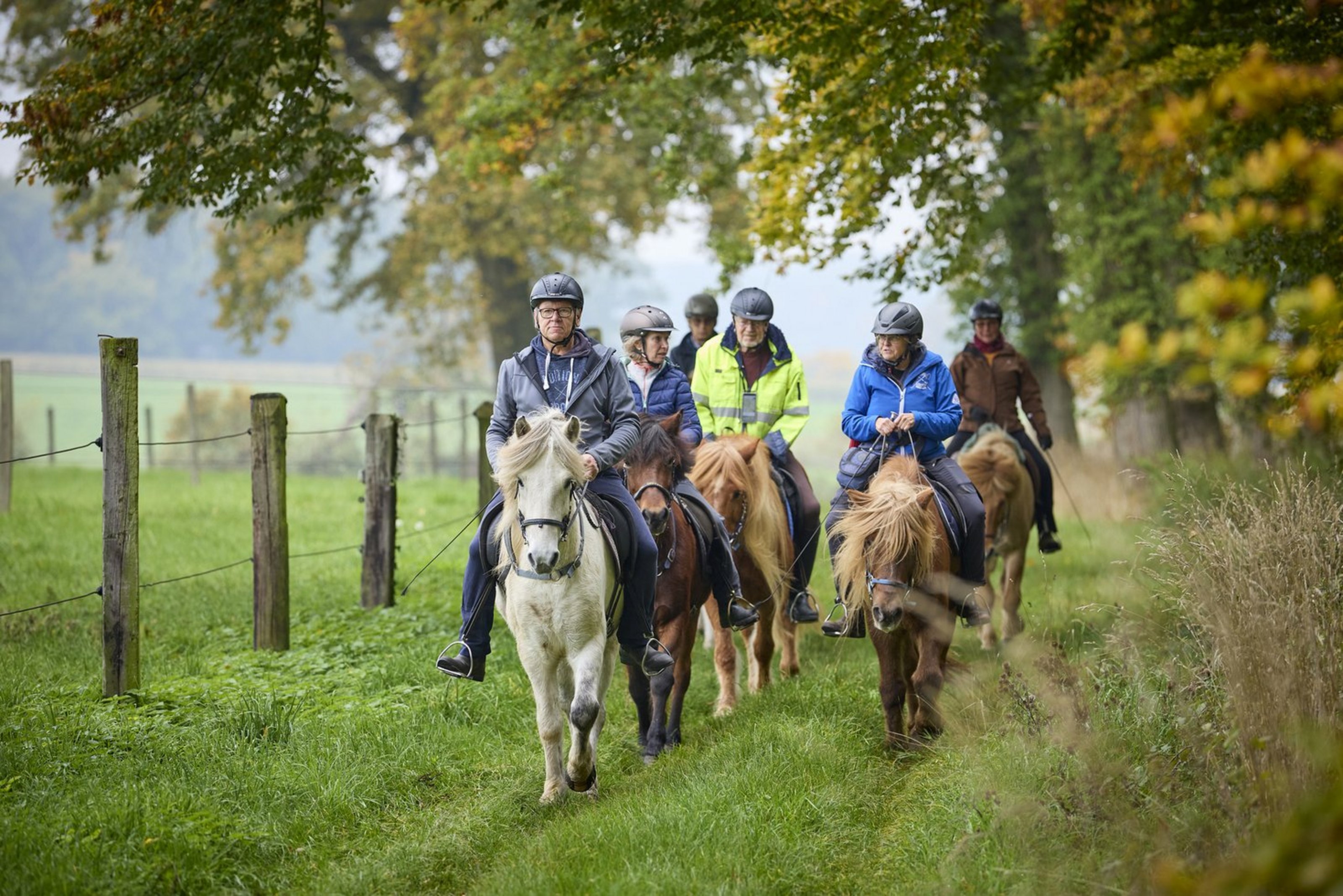 Einige Menschen reiten auf Pferden auf einem Grasweg. Neben ihnen sieht man einen Zaun und Bäume.
