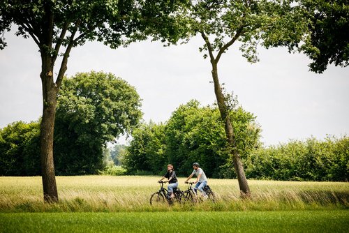 Zwei Radfahrer fahren zwischen Wiesen her. Sie tragen einen Fahrradhelm und T-Shirts.