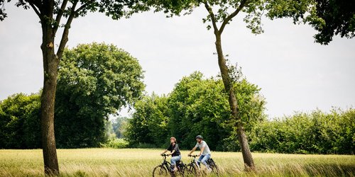 Zwei Radfahrer fahren zwischen Wiesen her. Sie tragen einen Fahrradhelm und T-Shirts.